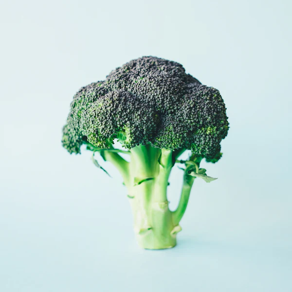 Broccoli